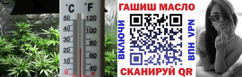 Купить закладки  Кашин  ТГК вейп 